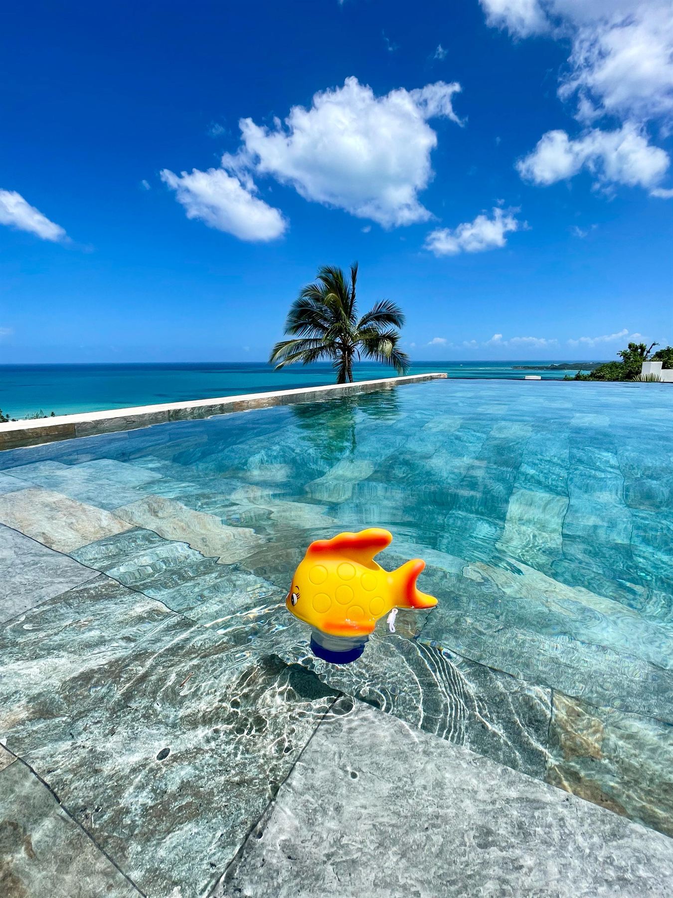 Pool waterline porcelain tile detail, Dominican Republic villa